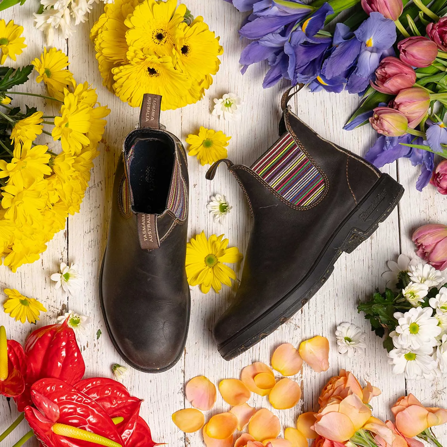 Blundstone 1409 - Original Stout Brown Striped Elastic