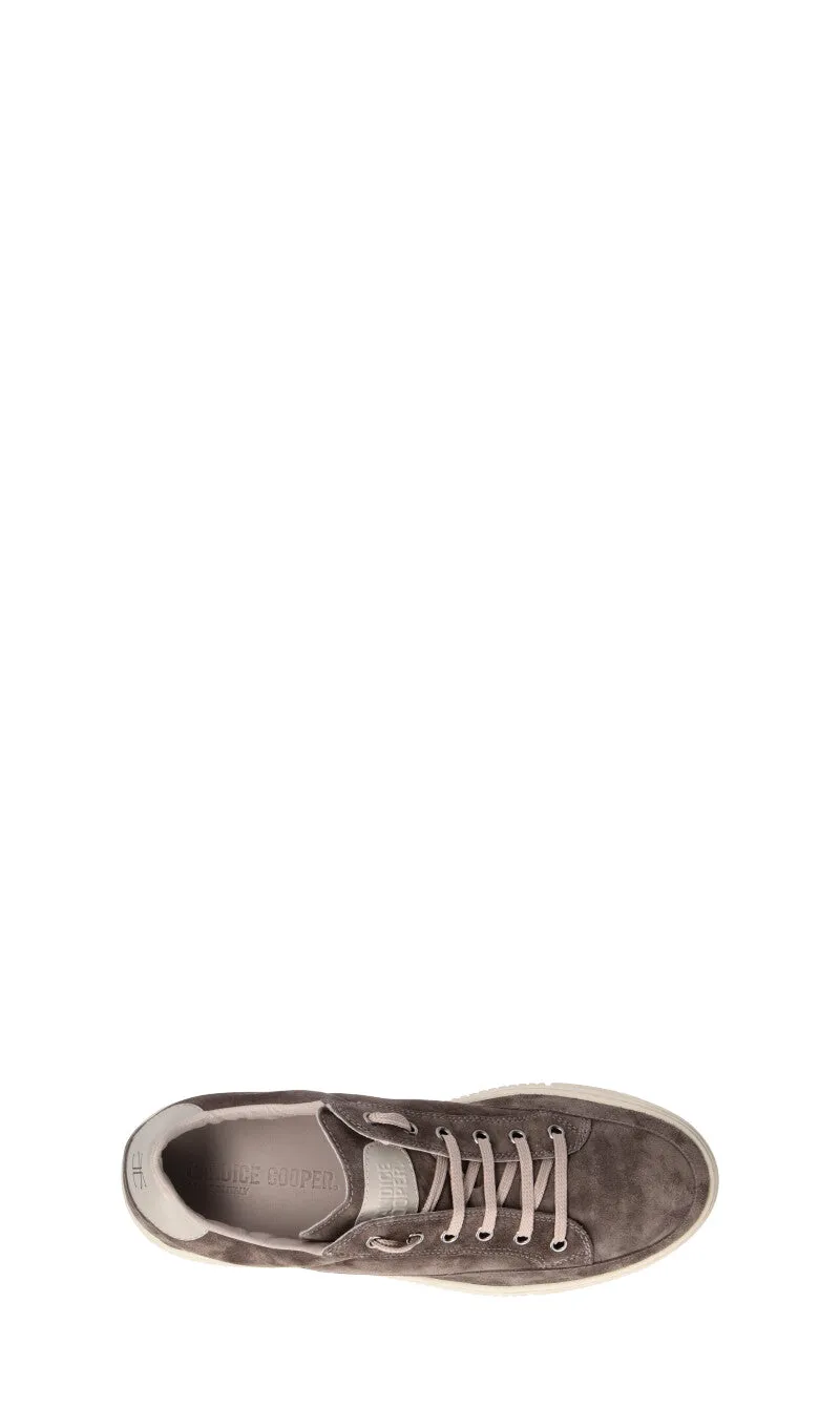 CANDICE COOPER. Sneaker uomo grigia in suede