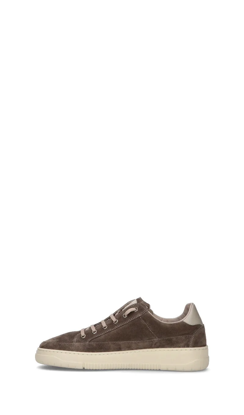 CANDICE COOPER. Sneaker uomo grigia in suede