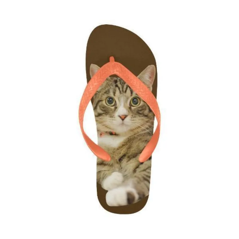 Cute Flip Flops Tabby Cat Unisex Slippers Brown