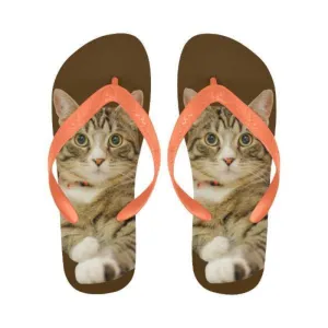 Cute Flip Flops Tabby Cat Unisex Slippers Brown