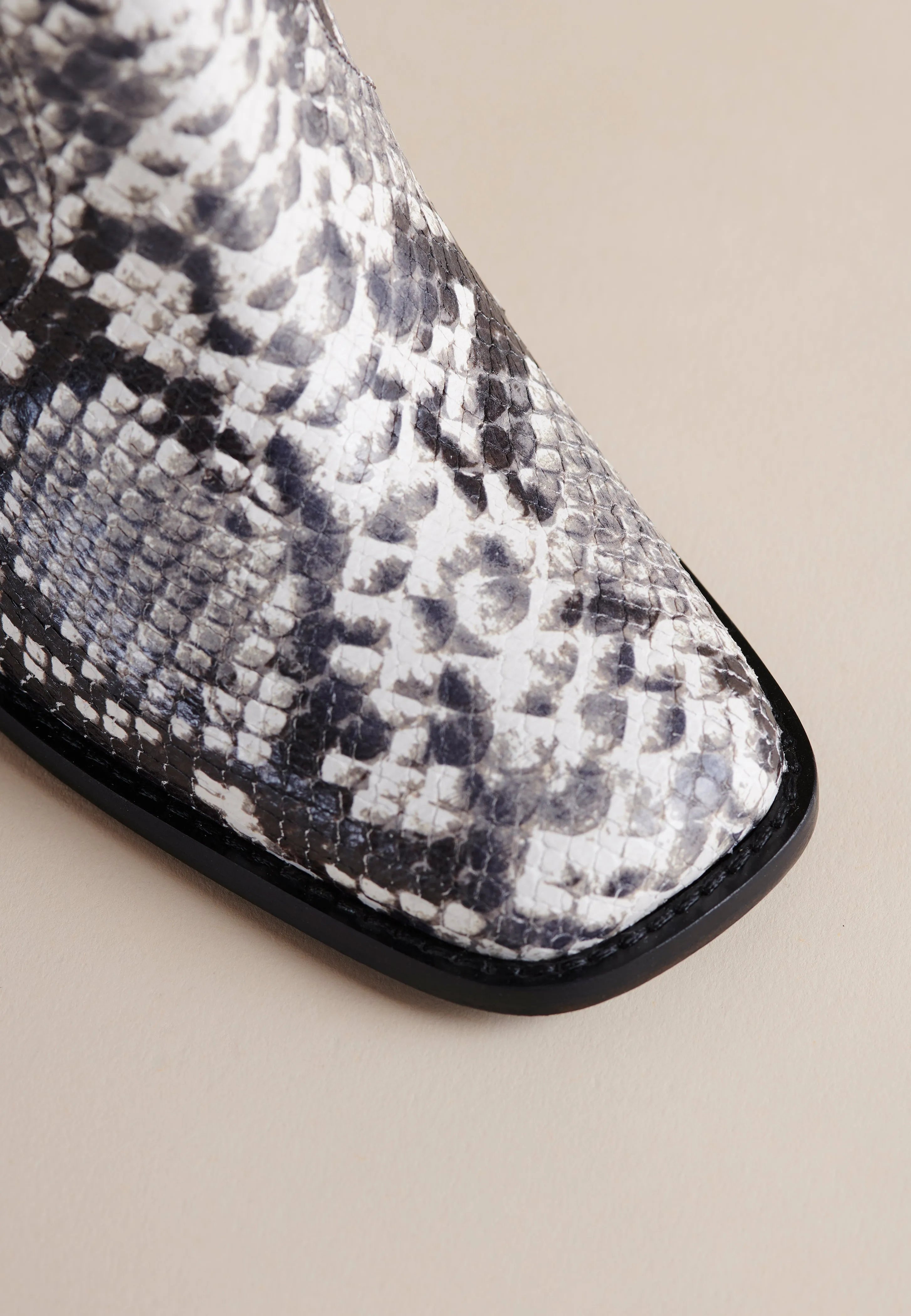 Lauryn Boot in Python
